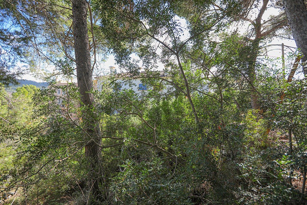 Tomt i Mallorca, Spanien Nr. 147913