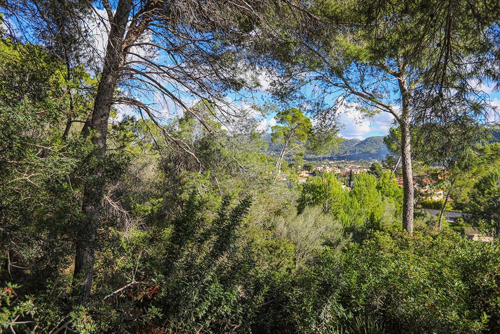 Tomt i Mallorca, Spanien Nr. 147913