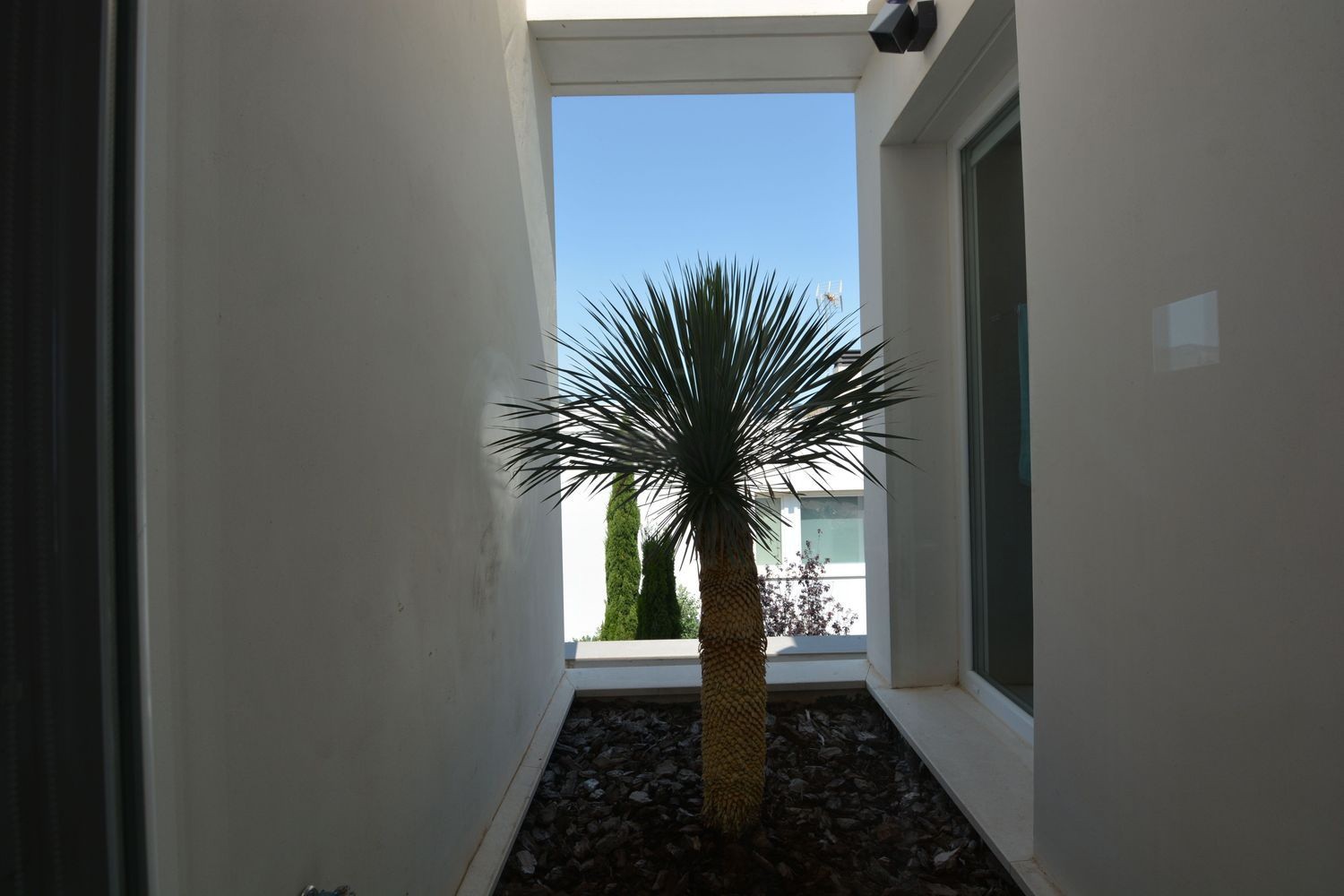 Villa à Benidorm, Alicante, Espagne 3 chambres, 350 m2 No. 181003