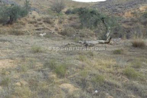 Land plot in Albox, Almeria, Spain No. 184188