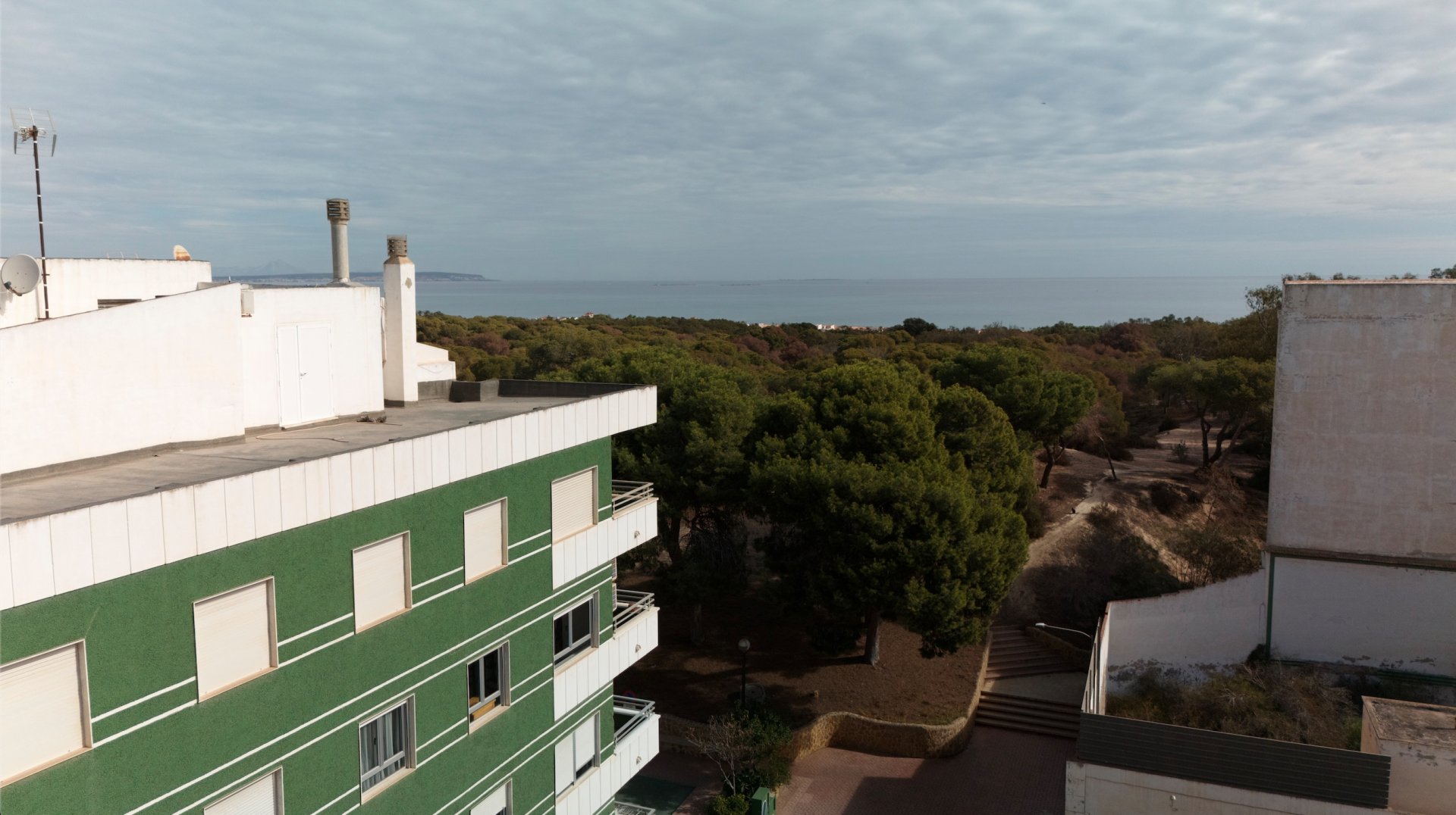 Apartamento en Guardamar del Segura, Alicante, España 1 dormitorio,  No. 184527