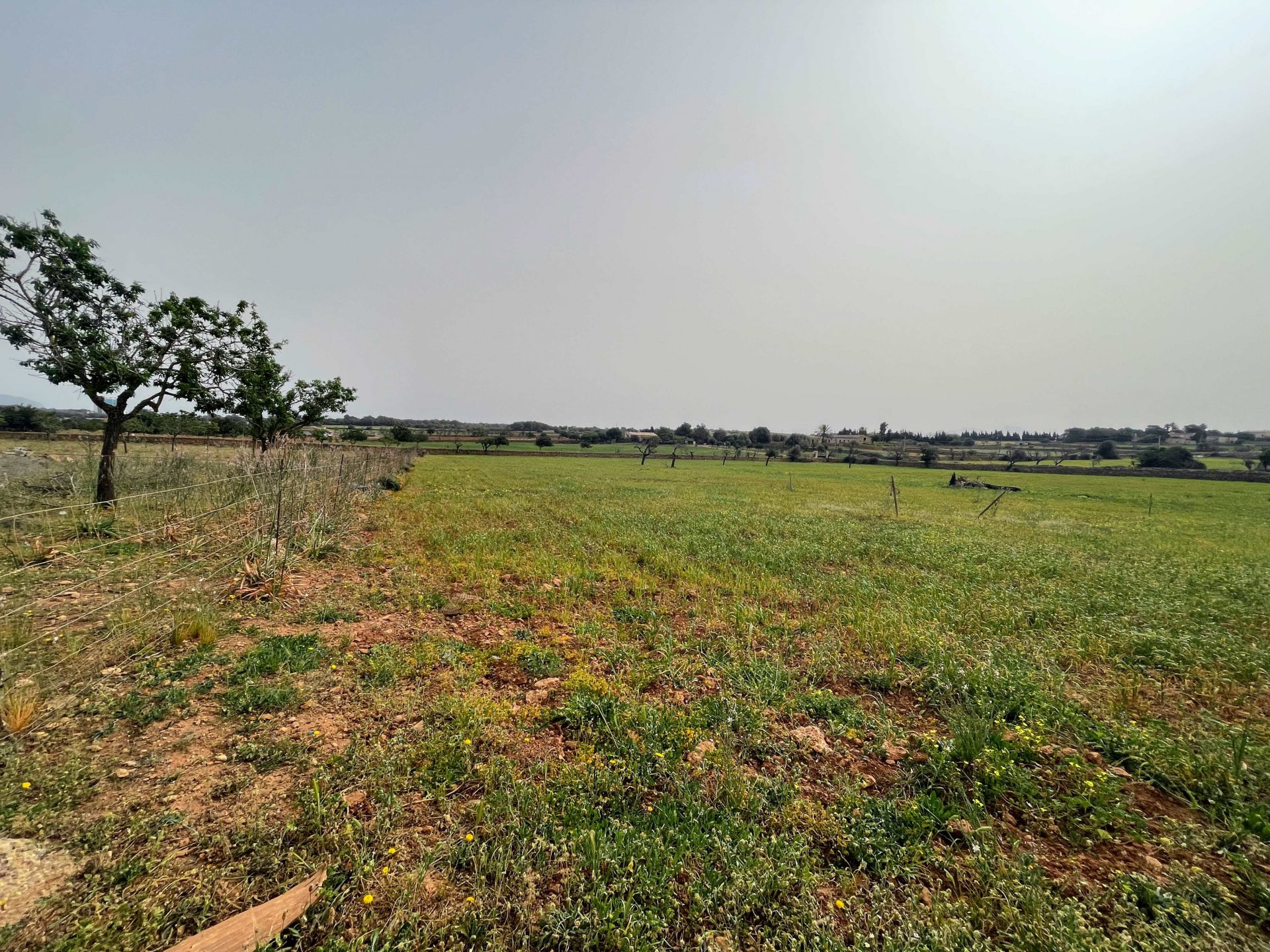 Zemes gabals Santa Margalida, Mallorca, Spānijā 86522 m2 Nr. 98010