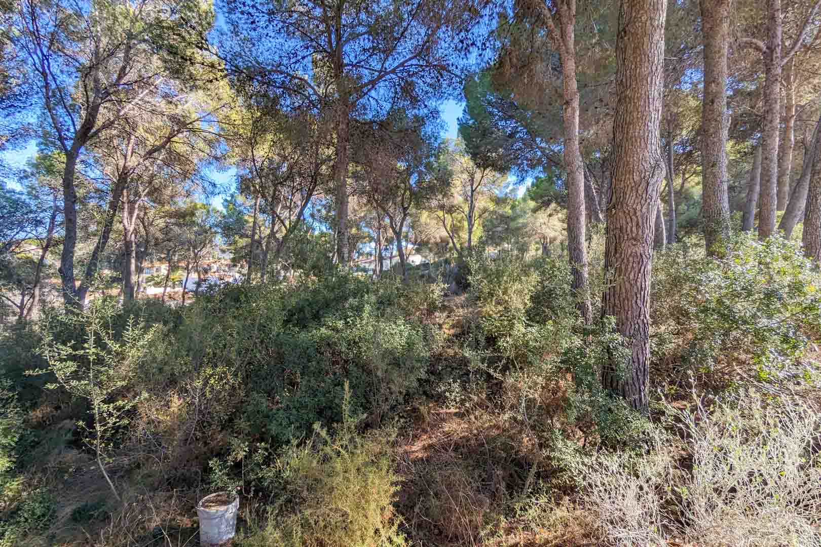 Villa i Moraira, Alicante, Spanien 6 sovrum, 2264 kvm. Nr. 96022