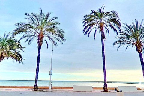 House in El Campello, Alicante, Spanien 4 Schlafzimmer, 250 m2 Nr. 153728