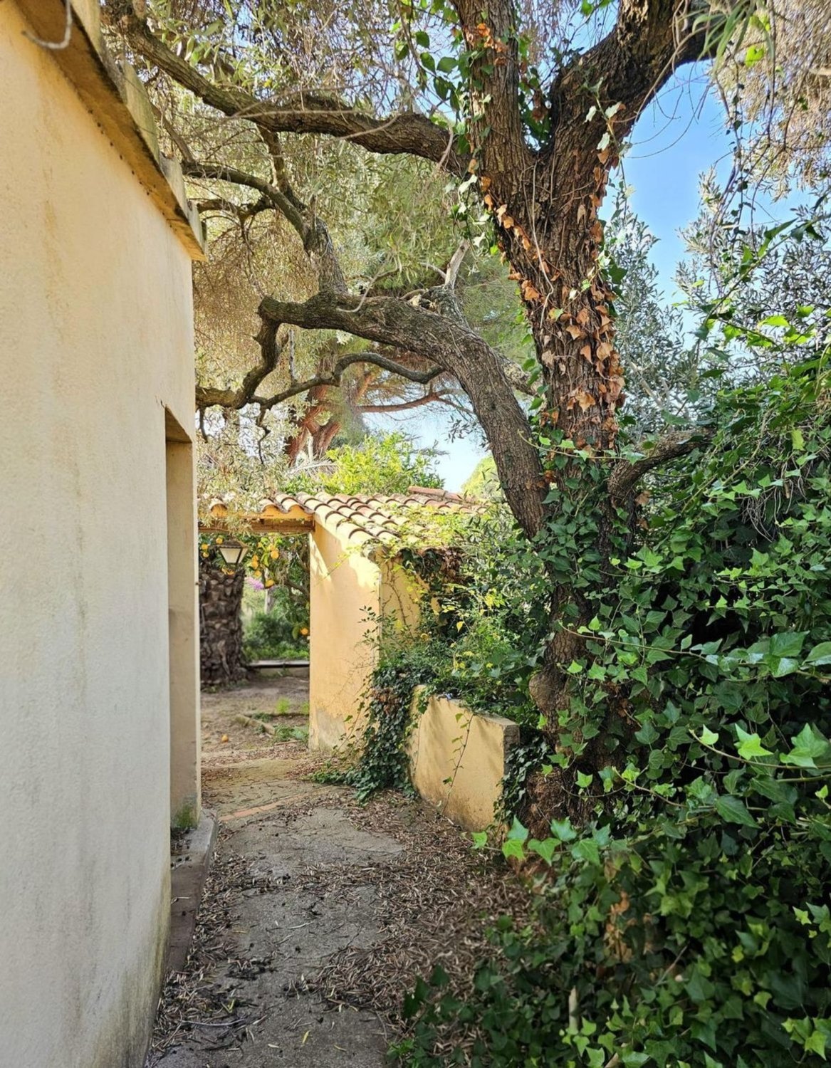 Hus i Barcelona, Spanien 10 sovrum, 1000 kvm. Nr. 178336