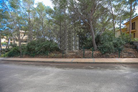 Land plot in Sol De Mallorca, Mallorca, Spain No. 148038