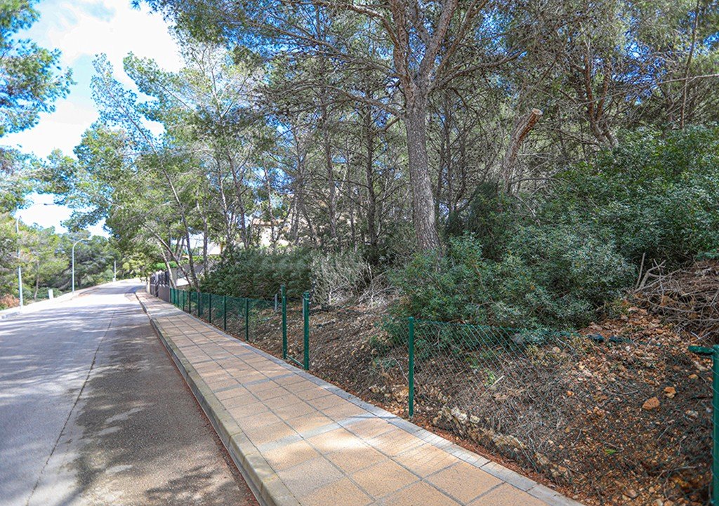 Land plot in Sol De Mallorca, Mallorca, Spain No. 148038