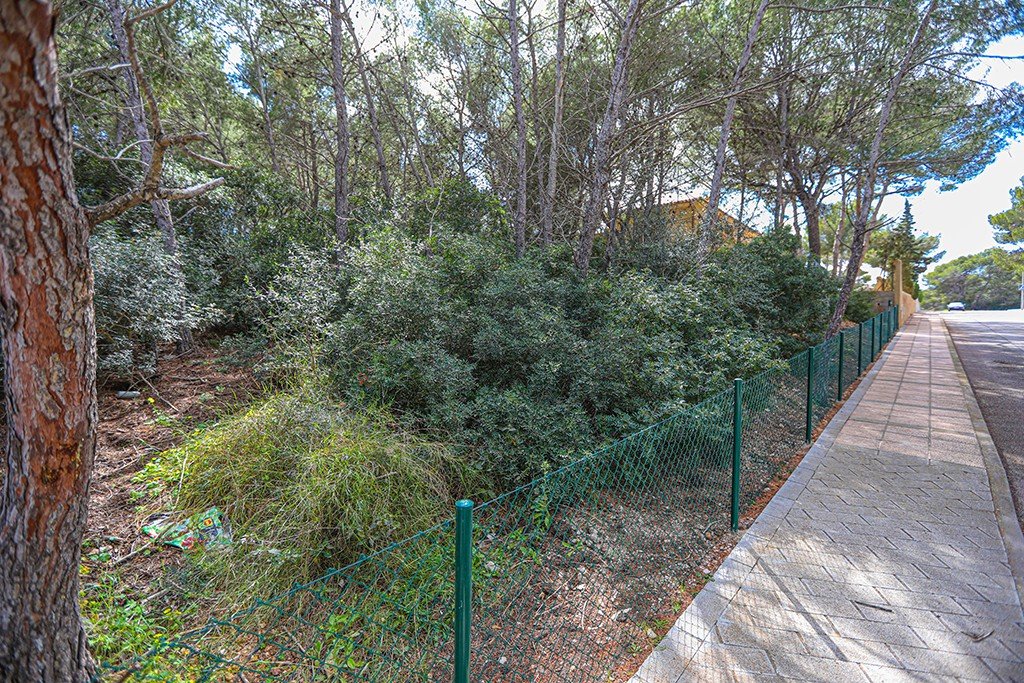 Land plot in Sol De Mallorca, Mallorca, Spain No. 148038