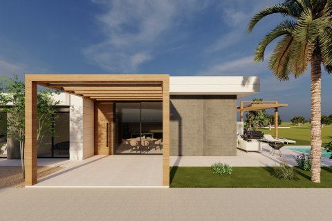 Villa in Pilar de la Horadada, Alicante, Spain 3 bedrooms, 120 sq.m. No. 191039