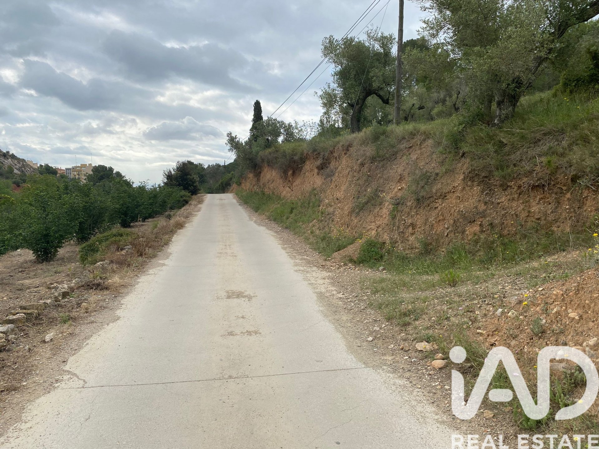 Land plot in Castellvell del Camp, Tarragona, Spain 4530 sq.m. No. 185429