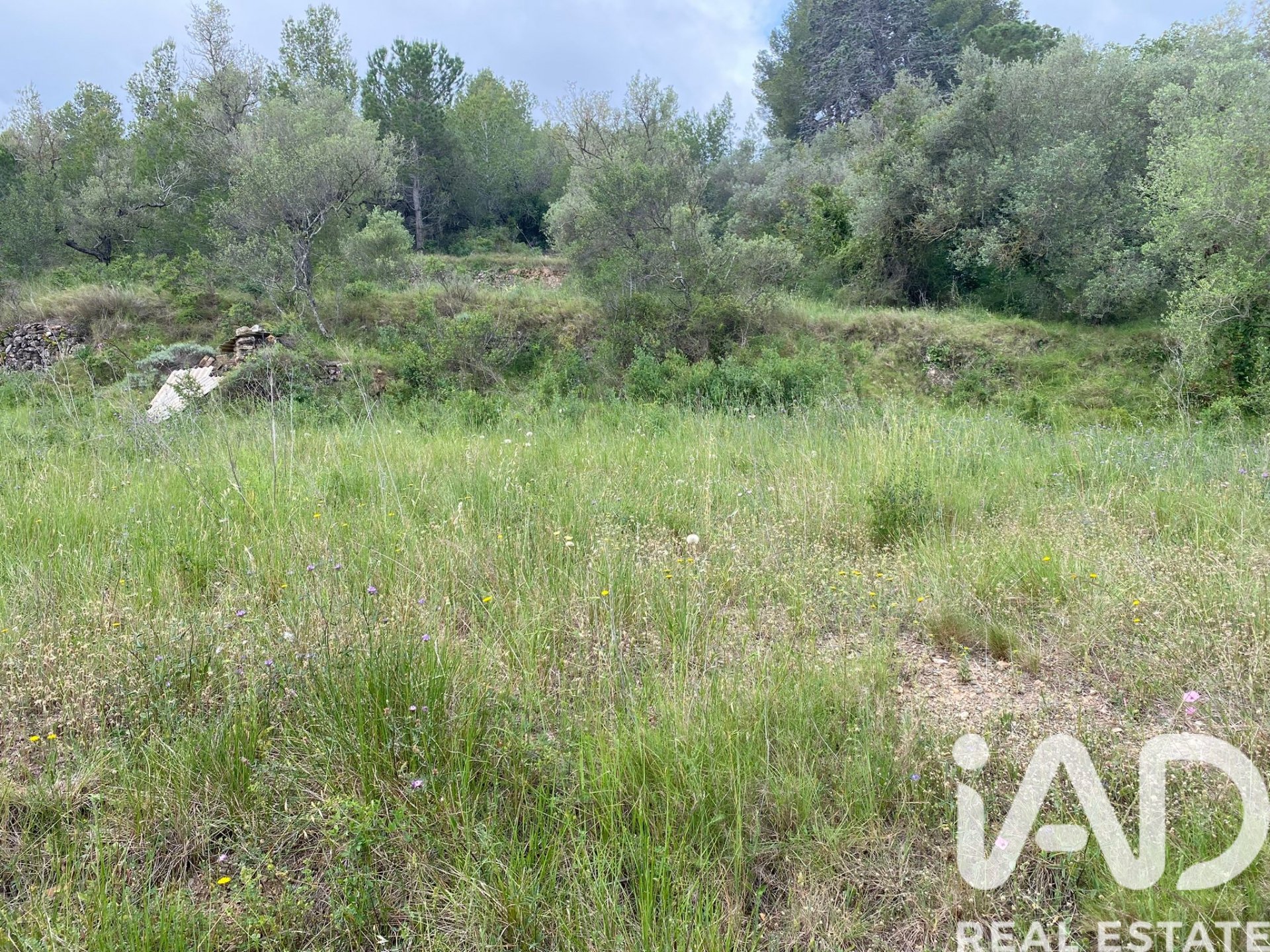 Land plot in Castellvell del Camp, Tarragona, Spain 4691 sq.m. No. 185428