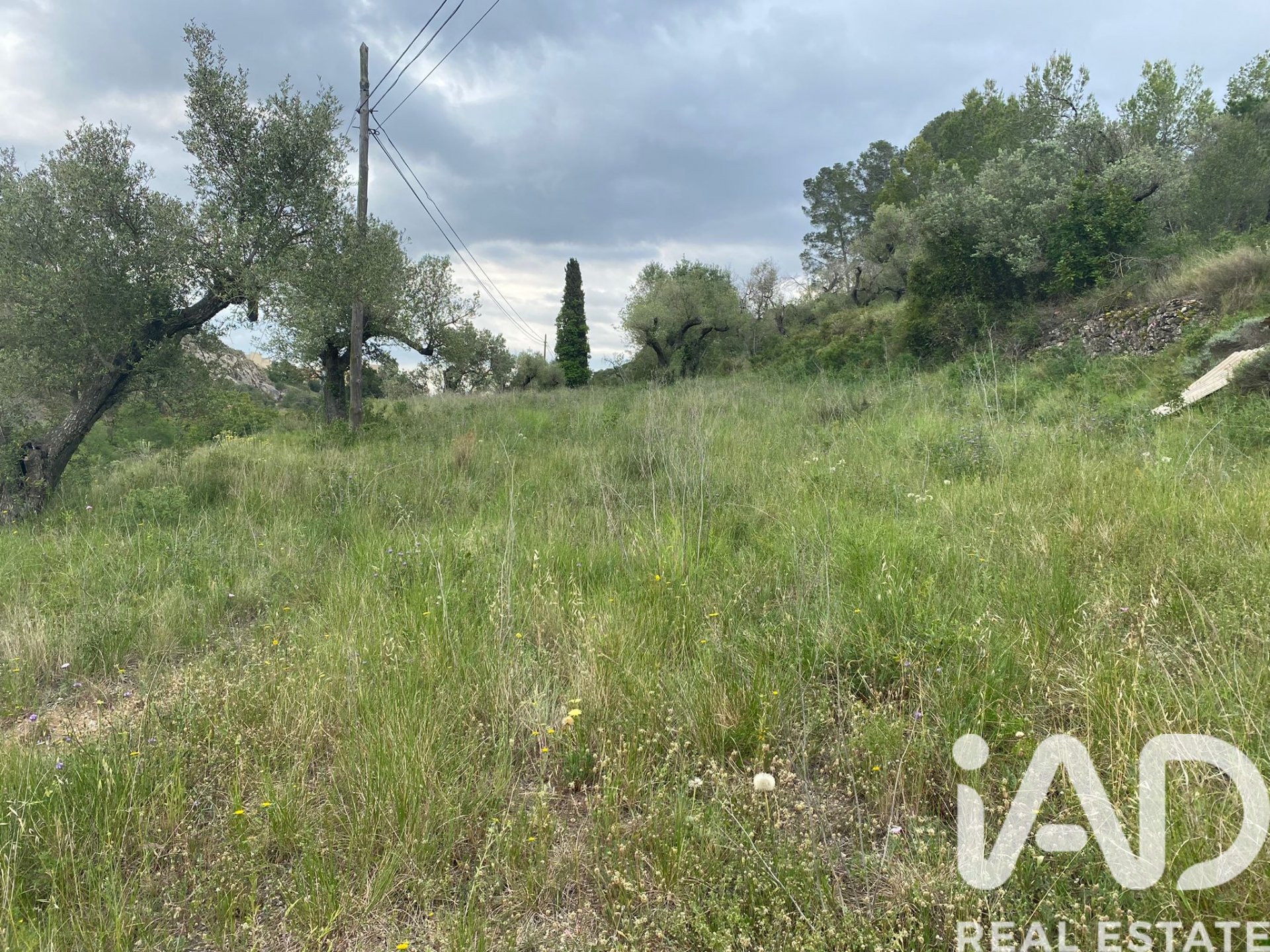 Land plot in Castellvell del Camp, Tarragona, Spain 4691 sq.m. No. 185428