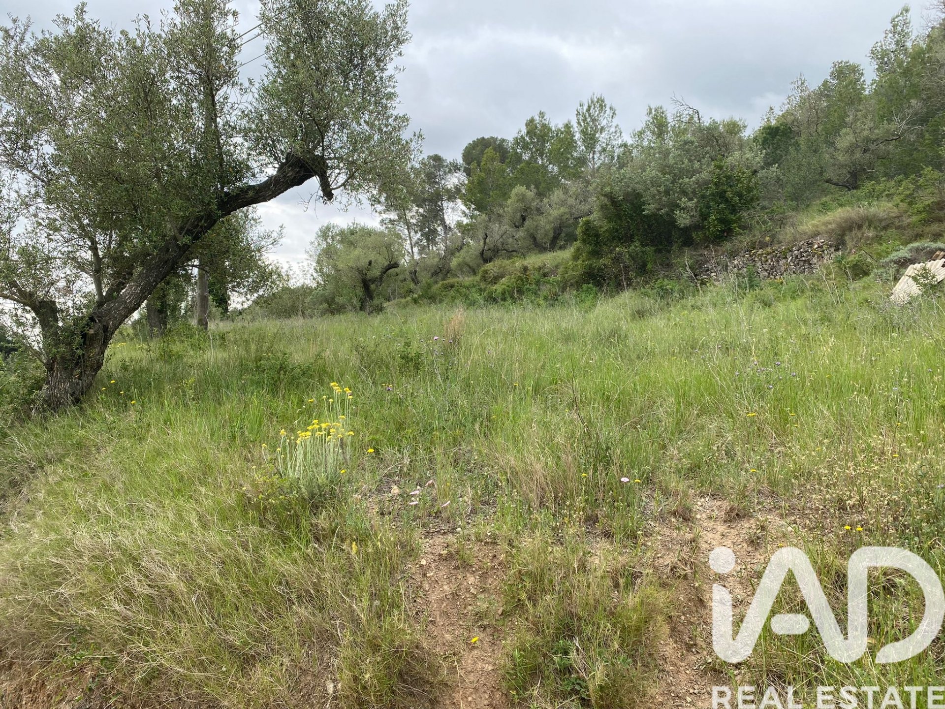 Land plot in Castellvell del Camp, Tarragona, Spain 4691 sq.m. No. 185428