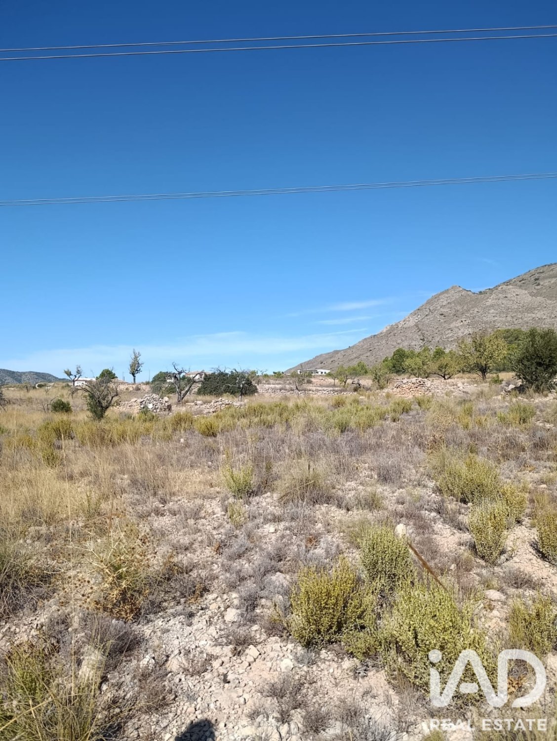 Terreno a El Fondo de les Neus, Alicante, Spagna 10000 mq. N° 196608