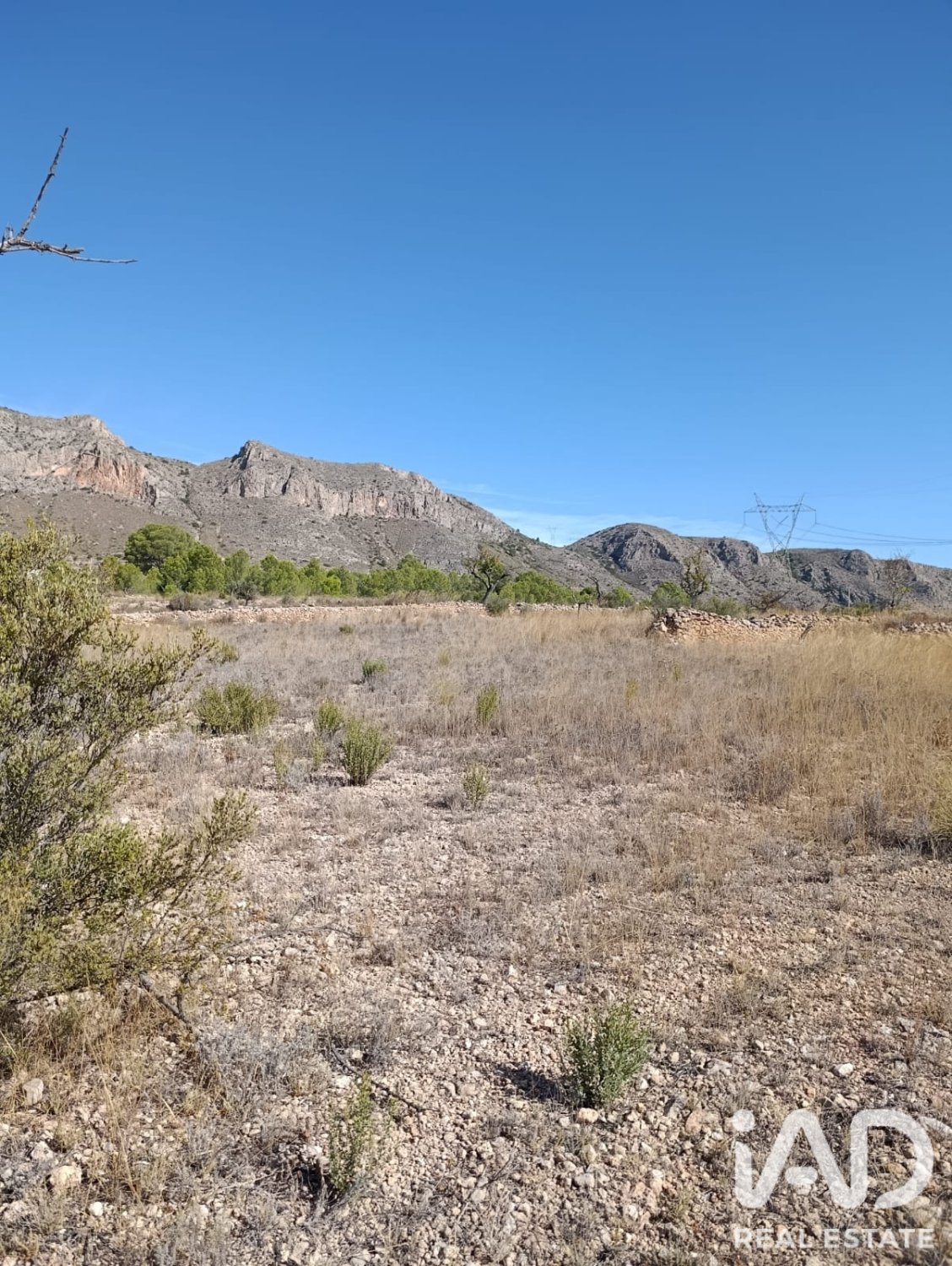 Terreno a El Fondo de les Neus, Alicante, Spagna 10000 mq. N° 196608