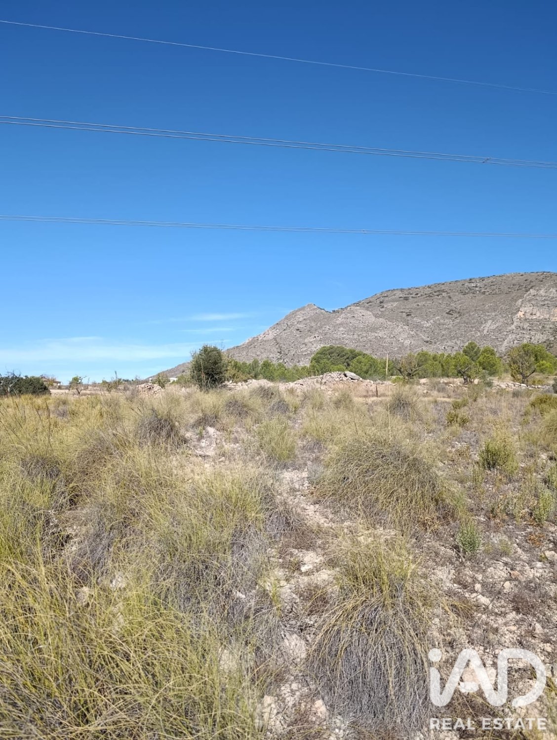 Terreno a El Fondo de les Neus, Alicante, Spagna 10000 mq. N° 196608