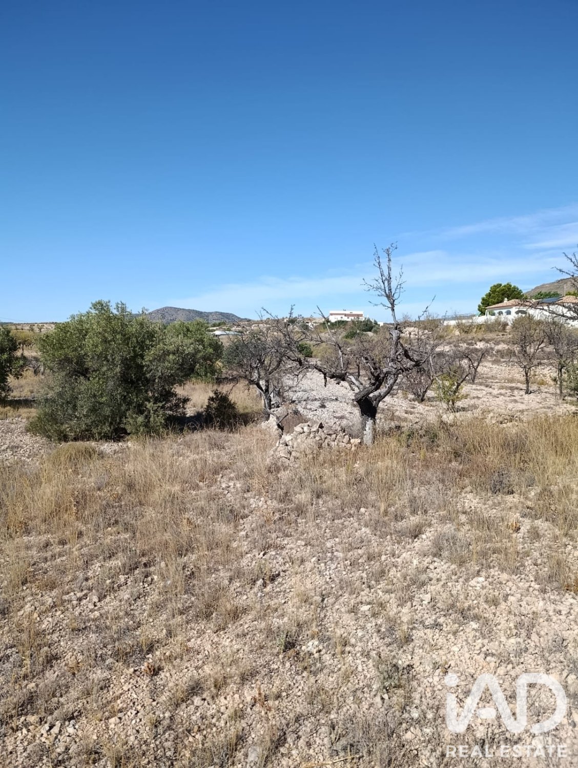 Terreno a El Fondo de les Neus, Alicante, Spagna 10000 mq. N° 196608