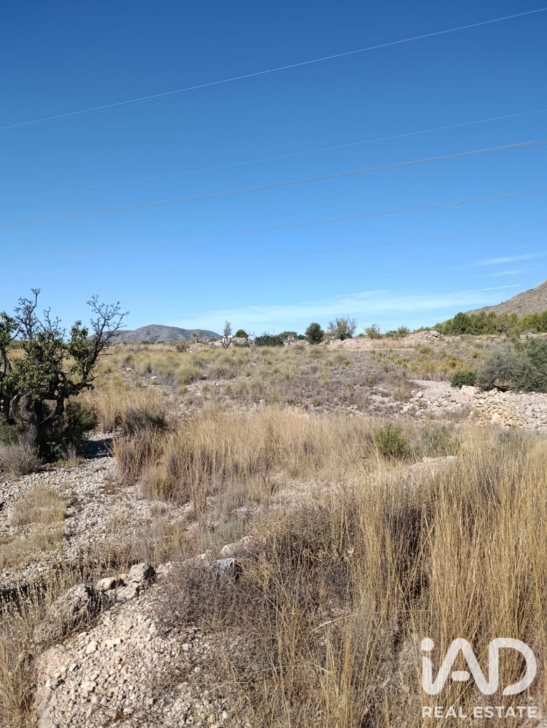 Terreno a El Fondo de les Neus, Alicante, Spagna 10000 mq. N° 196608