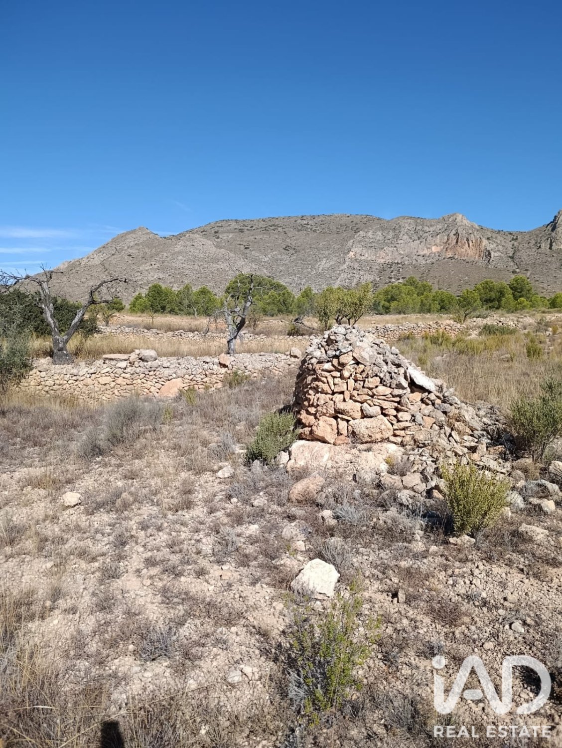 Terreno a El Fondo de les Neus, Alicante, Spagna 10000 mq. N° 196608