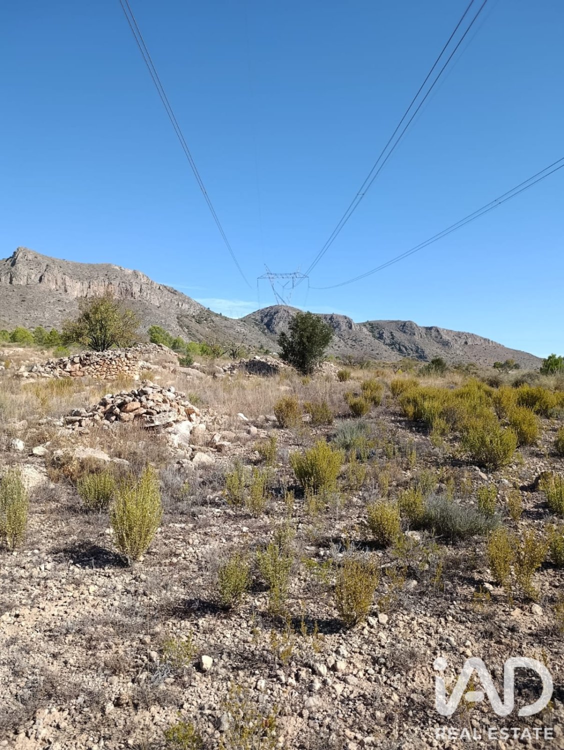 Terreno a El Fondo de les Neus, Alicante, Spagna 10000 mq. N° 196608