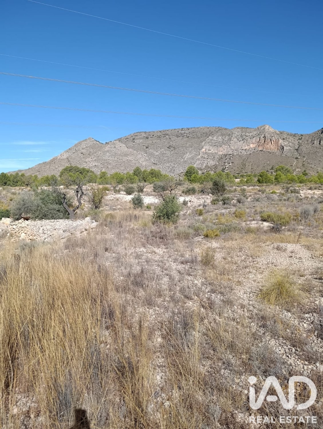 Terreno a El Fondo de les Neus, Alicante, Spagna 10000 mq. N° 196608