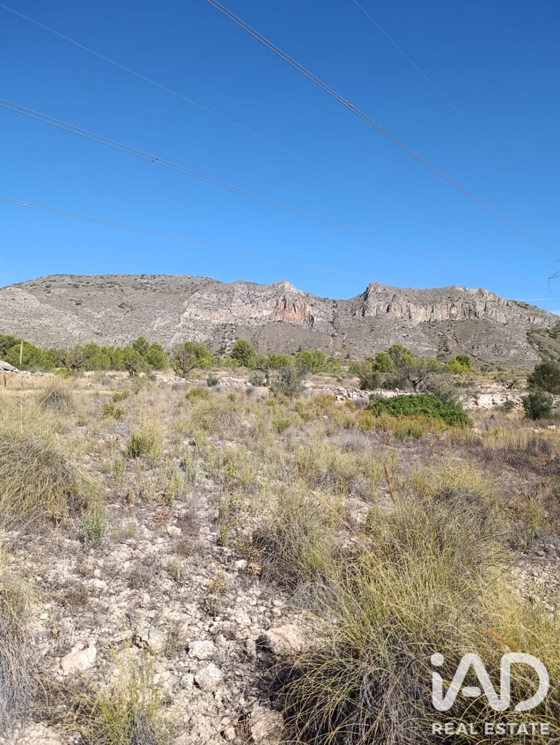 Terreno a El Fondo de les Neus, Alicante, Spagna 10000 mq. N° 196608