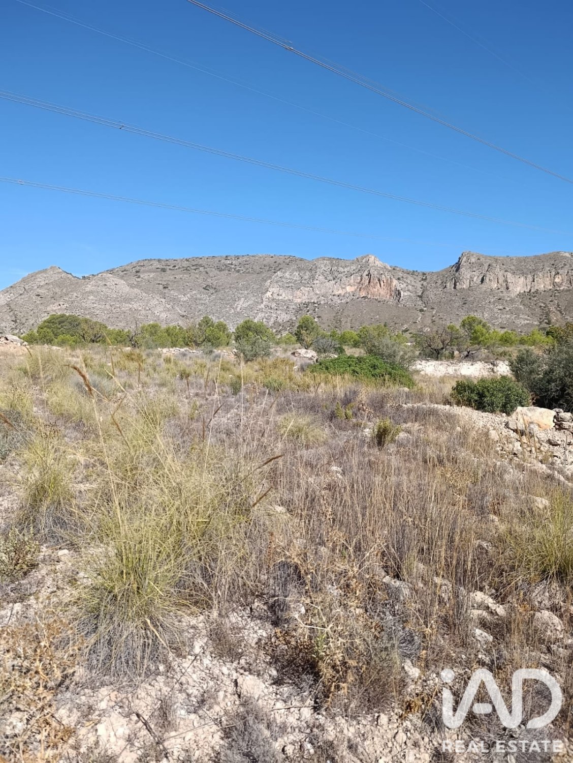 Terreno a El Fondo de les Neus, Alicante, Spagna 10000 mq. N° 196608