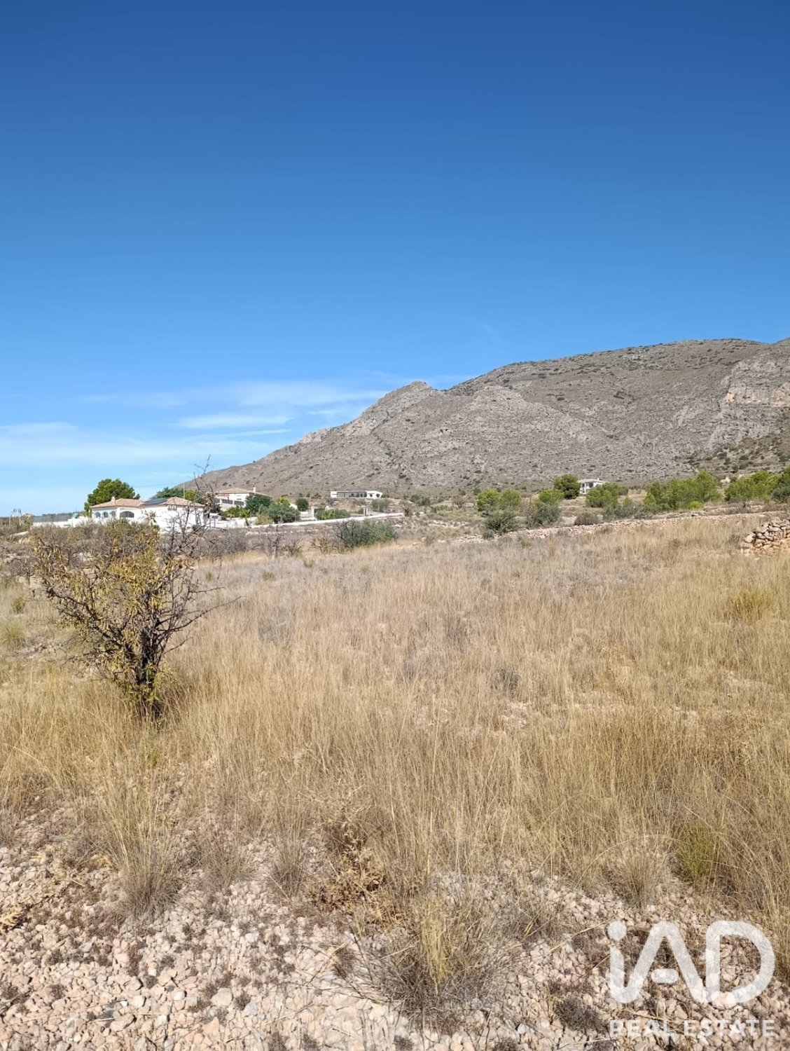 Terreno a El Fondo de les Neus, Alicante, Spagna 10000 mq. N° 196608