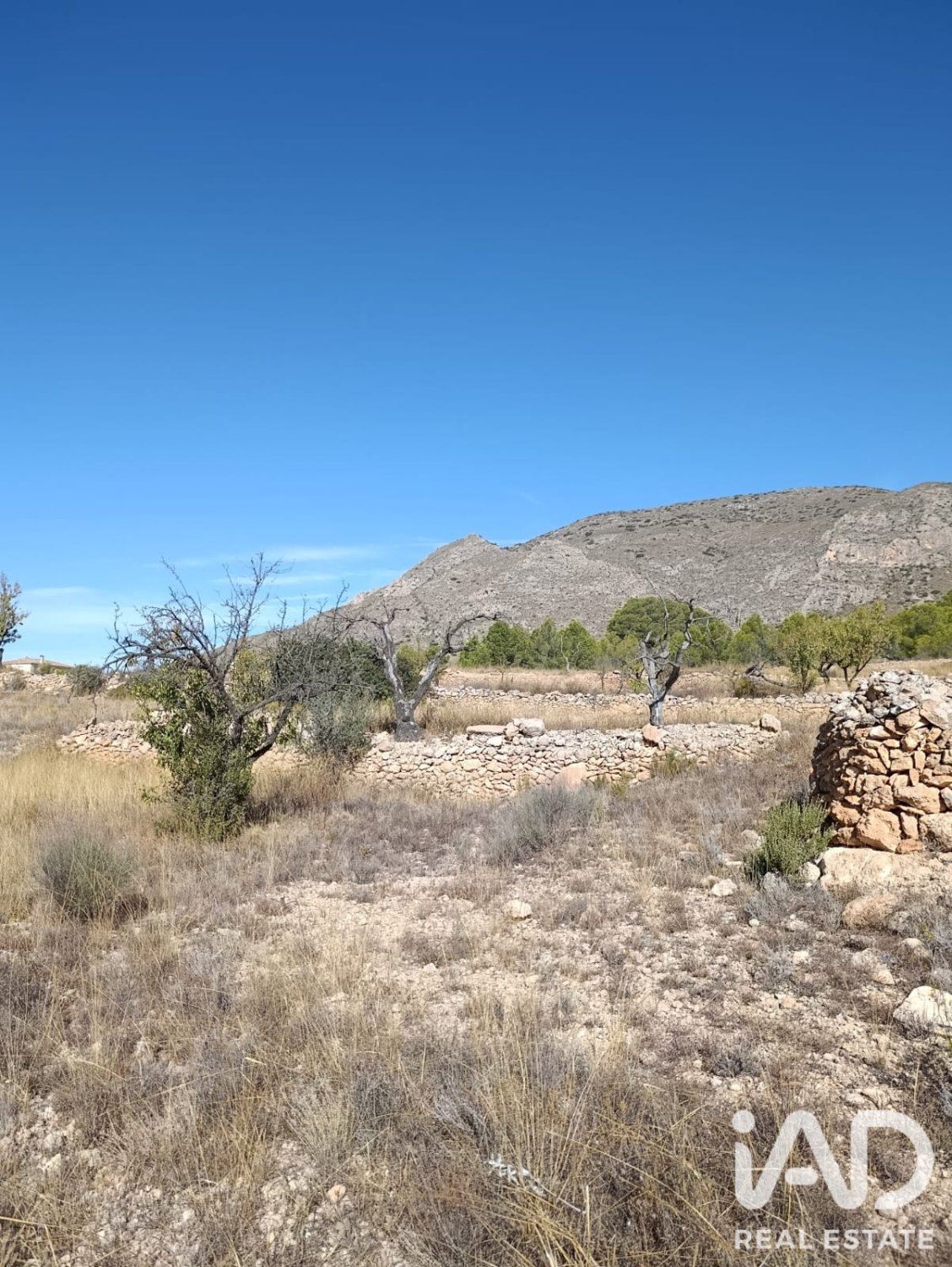 Terreno a El Fondo de les Neus, Alicante, Spagna 10000 mq. N° 196608