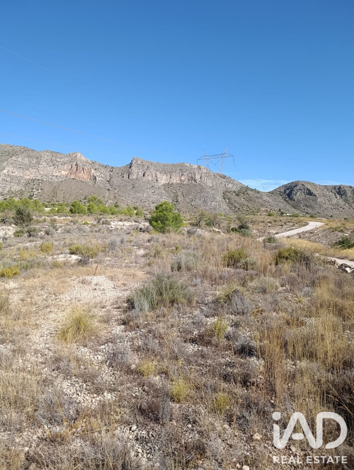 Terreno a El Fondo de les Neus, Alicante, Spagna 10000 mq. N° 196608
