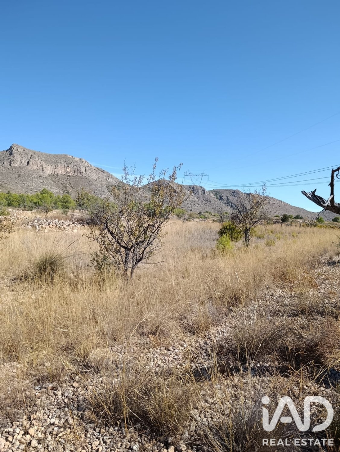 Terreno a El Fondo de les Neus, Alicante, Spagna 10000 mq. N° 196608