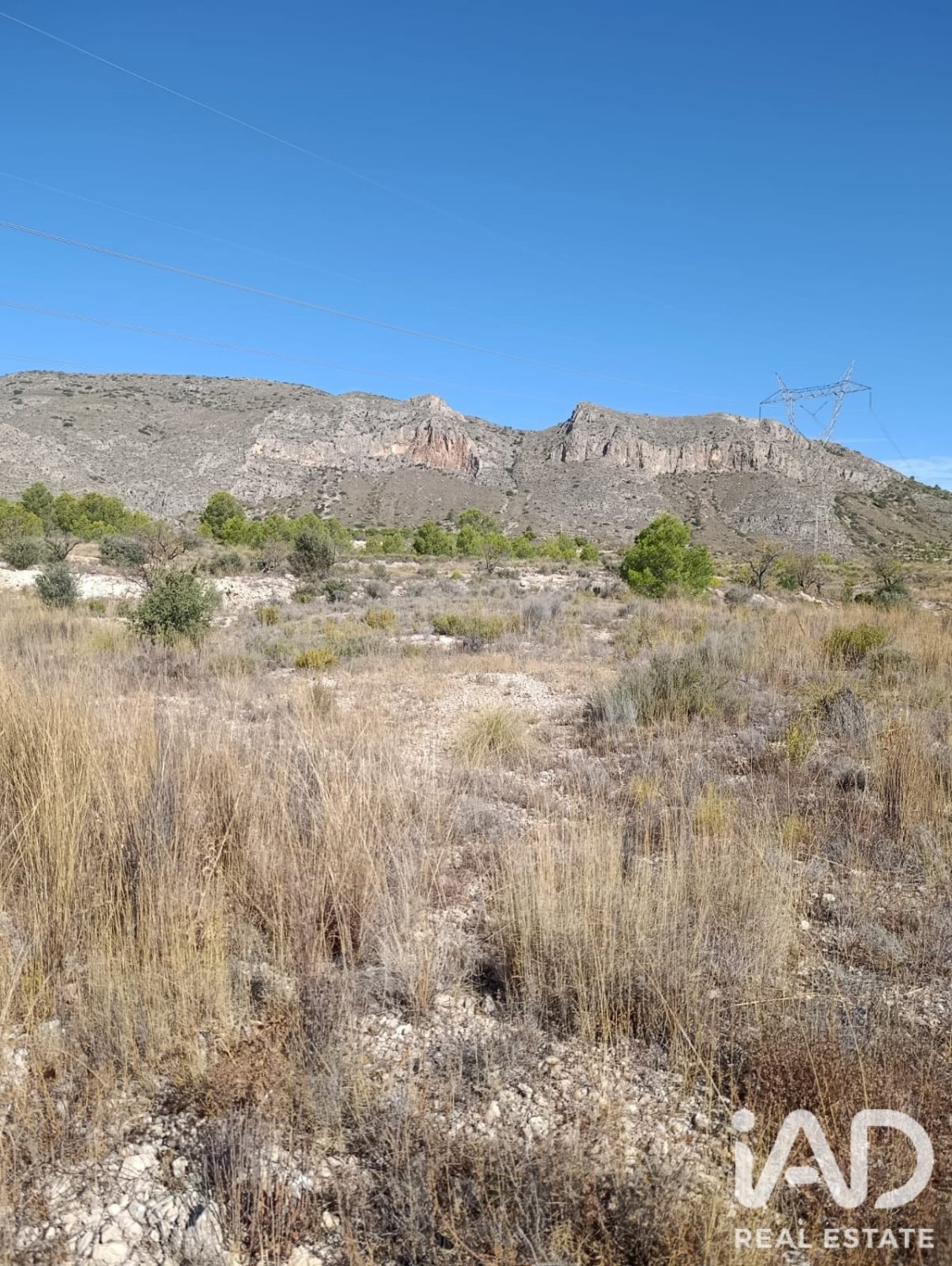 Terreno a El Fondo de les Neus, Alicante, Spagna 10000 mq. N° 196608