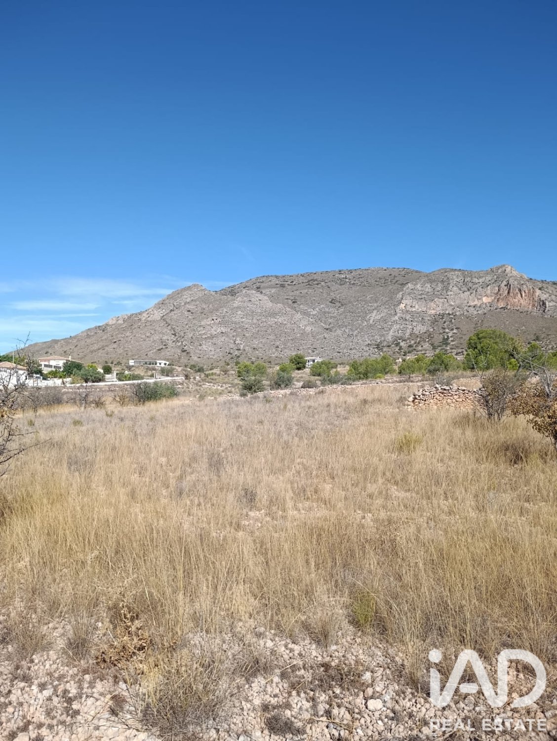 Terreno a El Fondo de les Neus, Alicante, Spagna 10000 mq. N° 196608