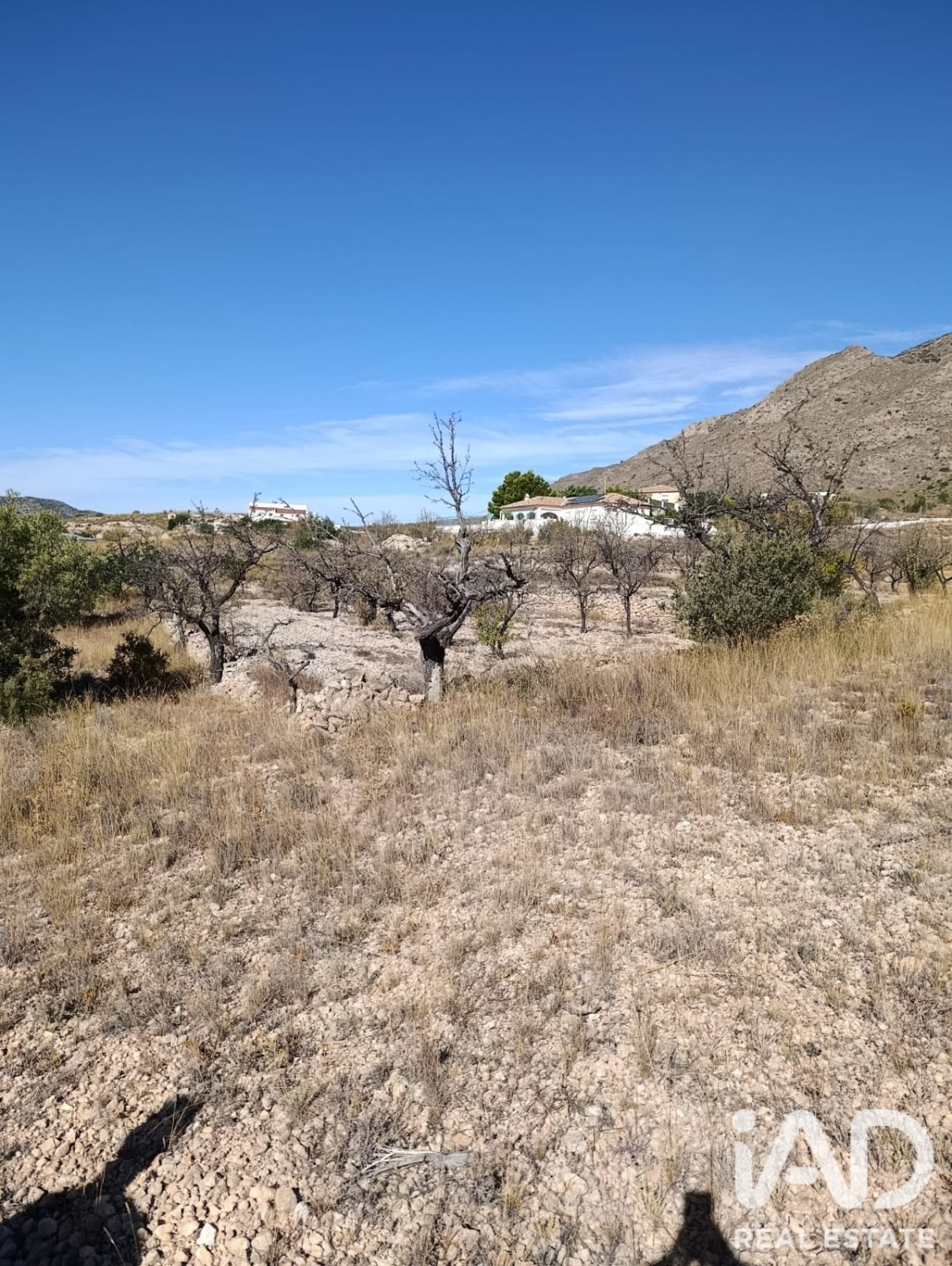Terreno a El Fondo de les Neus, Alicante, Spagna 10000 mq. N° 196608