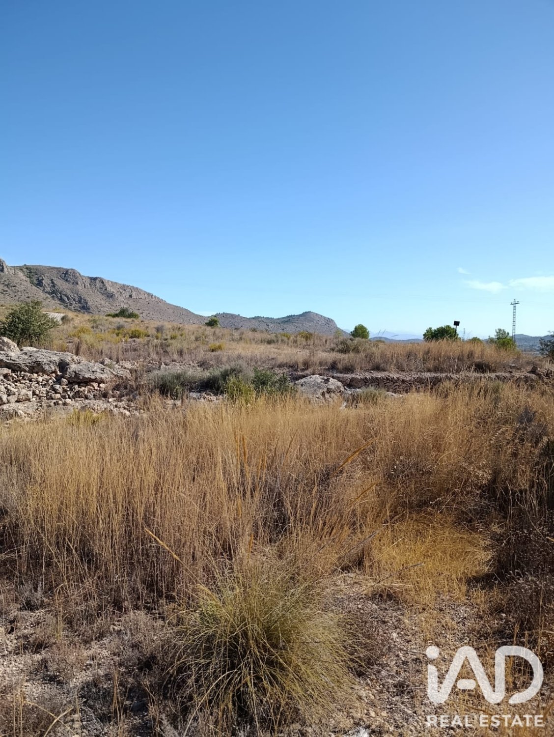 Terreno a El Fondo de les Neus, Alicante, Spagna 10000 mq. N° 196608
