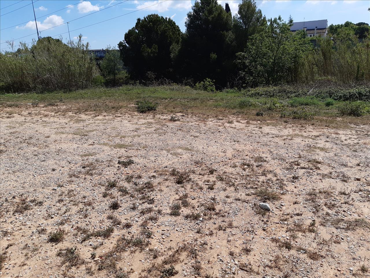 Tontti Rubi, Barcelona, Espanja No. 166999