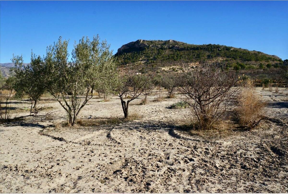 Land plot in Relleu, Alicante, Spain No. 192525
