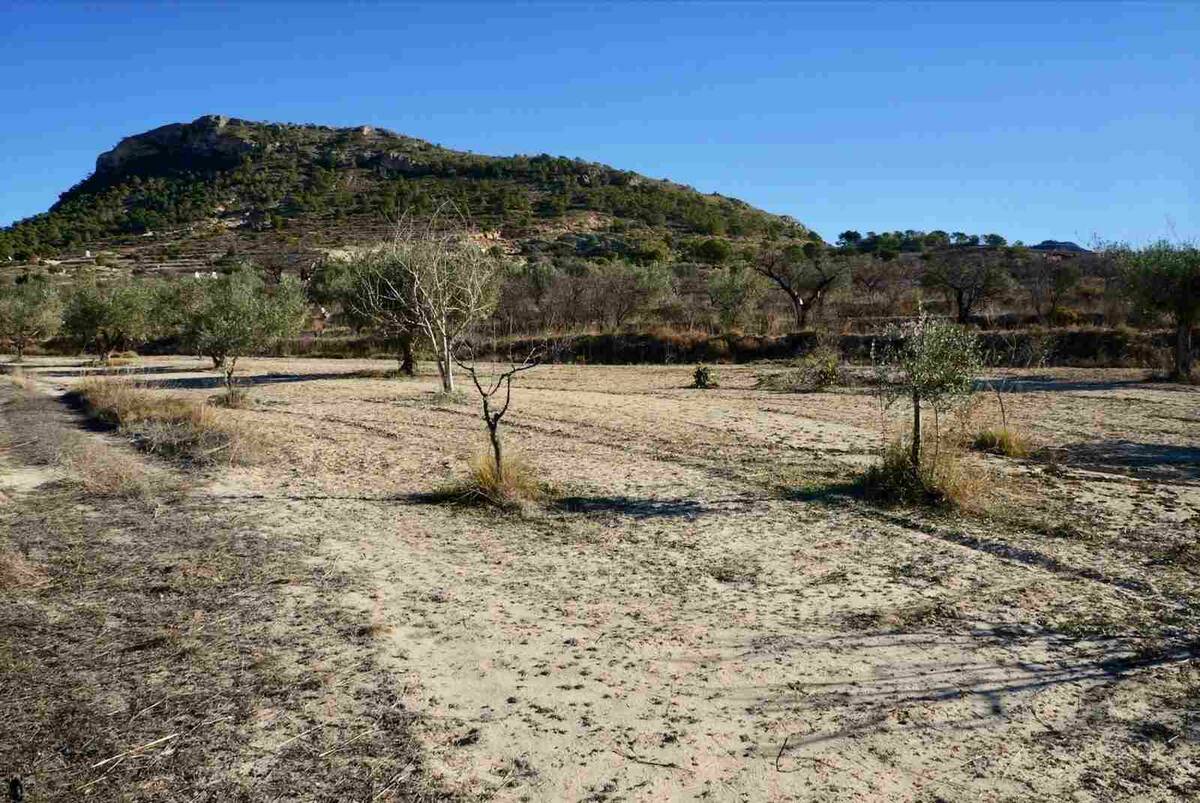 Land plot in Relleu, Alicante, Spain No. 192525