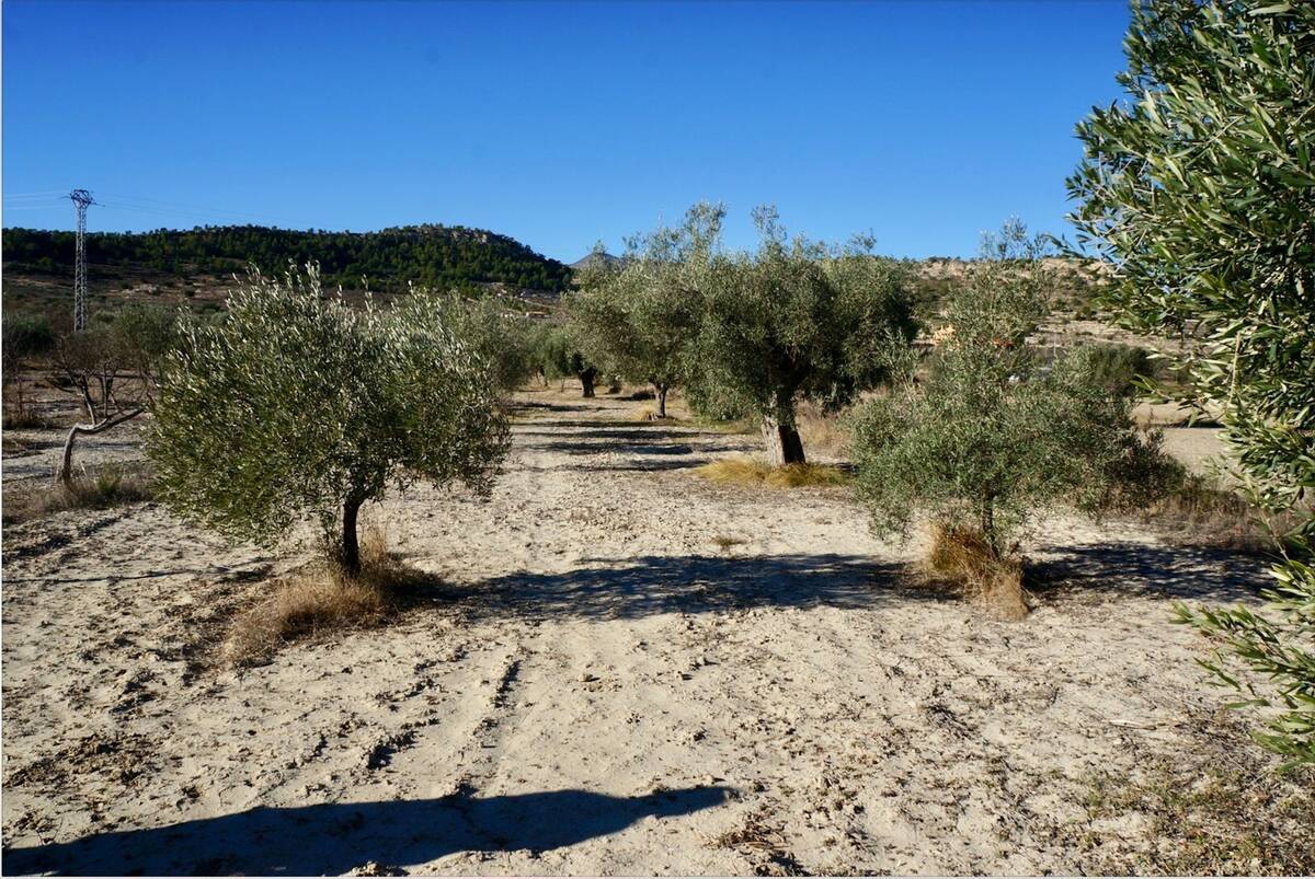 Land plot in Relleu, Alicante, Spain No. 192525