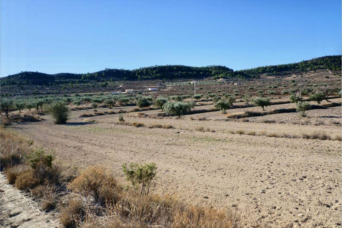 Land plot in Relleu, Alicante, Spain No. 192525
