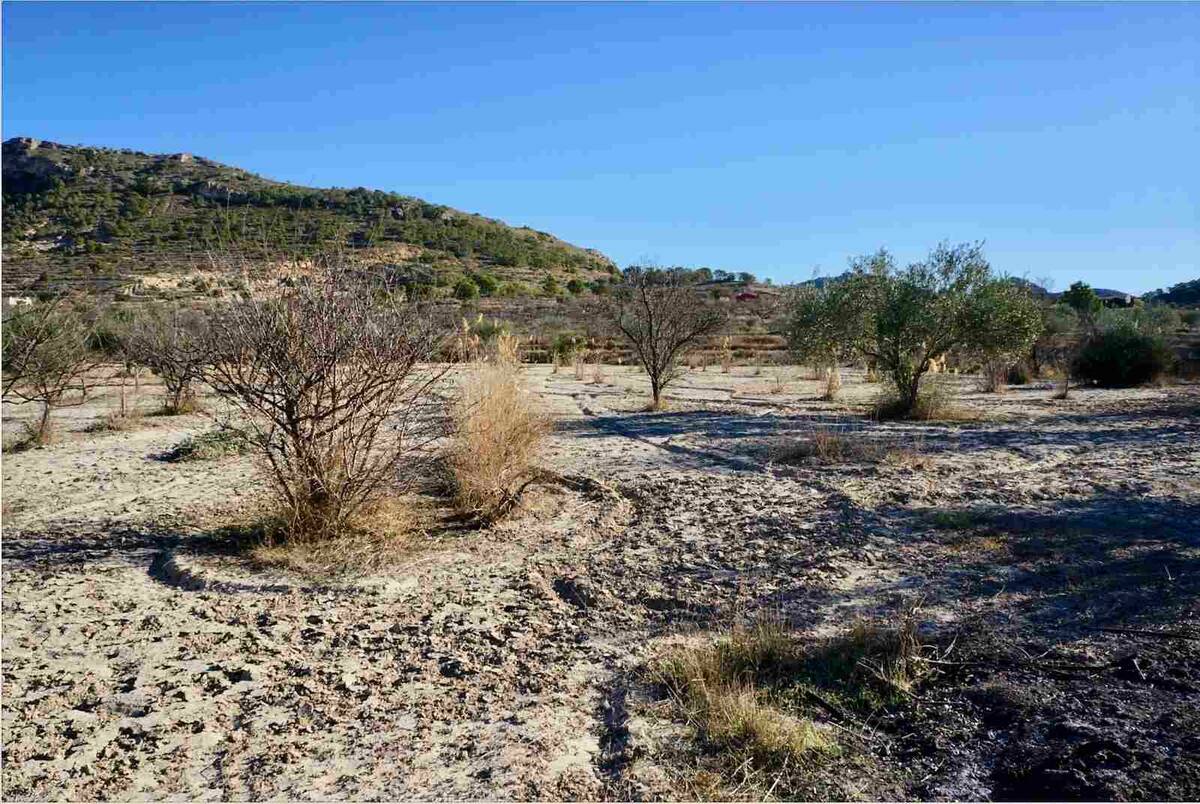 Land plot in Relleu, Alicante, Spain No. 192525