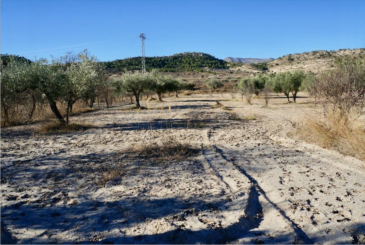 Land plot in Relleu, Alicante, Spain No. 192525