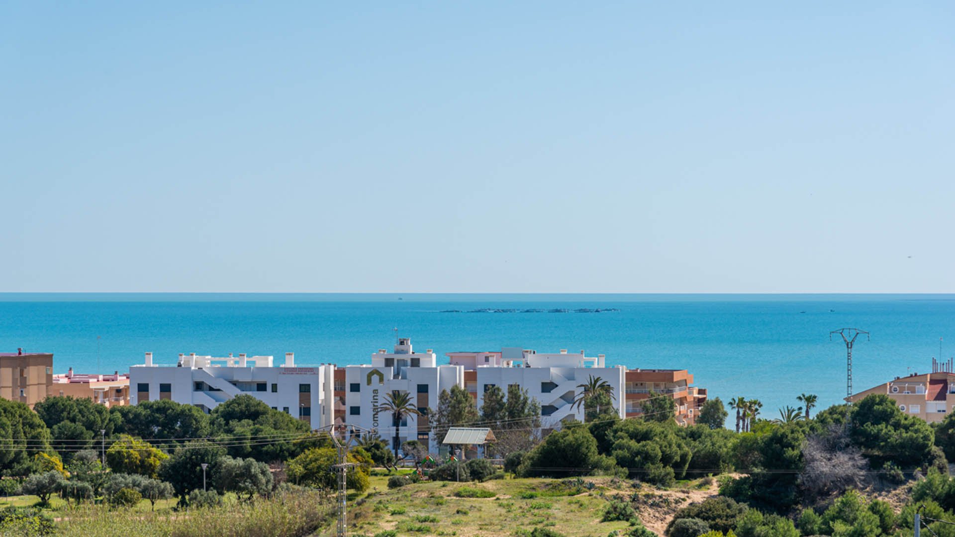 El Oliveron in Guardamar del Segura, Alicante, Spanien Nr. 74945