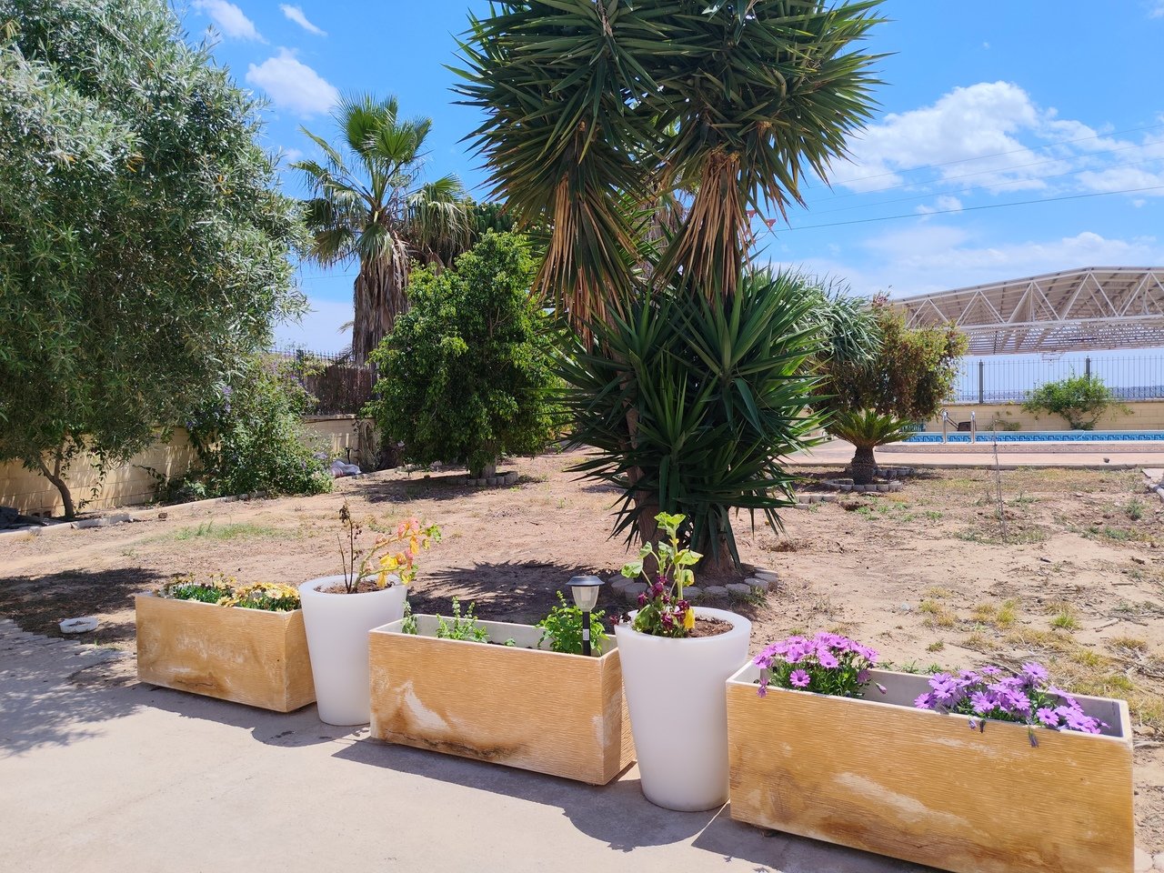 Finca in Los Montesinos, Alicante, Spain 6 bedrooms, 347 sq.m. No. 189473