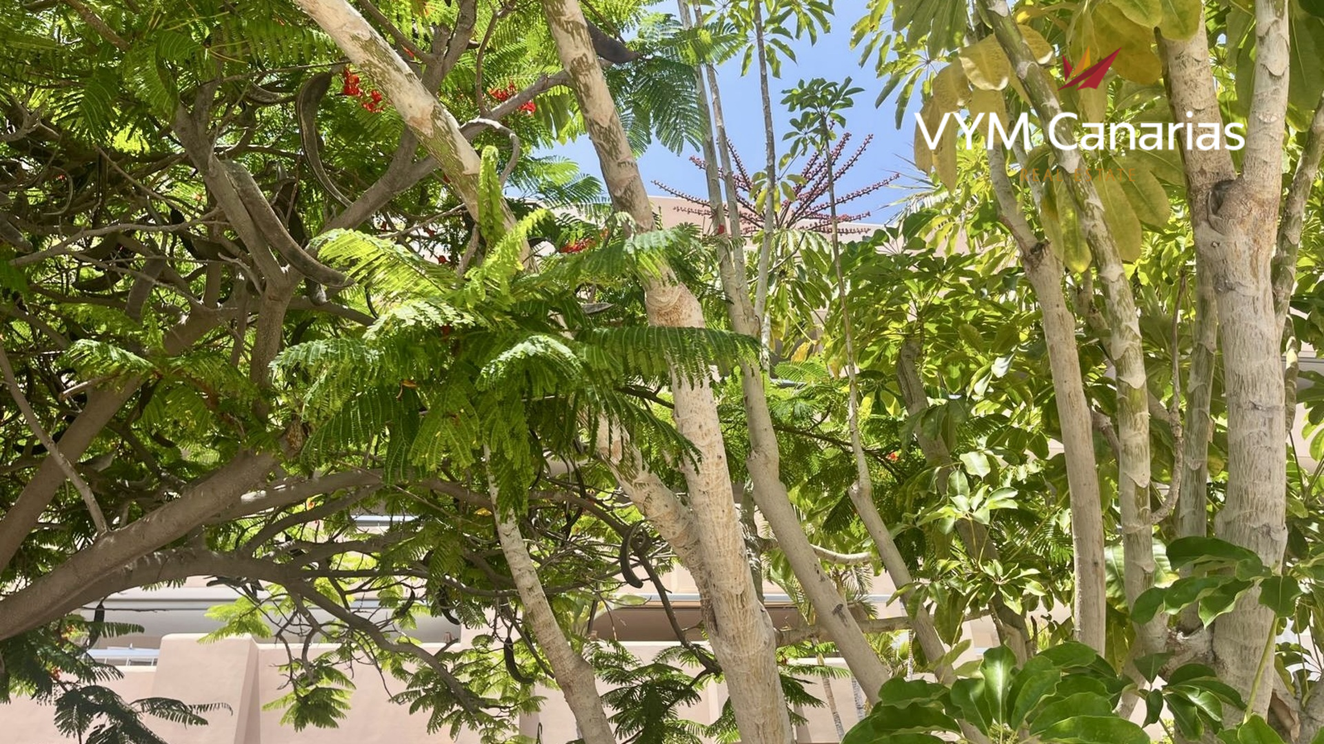Penthouse in Playa, Valencia, Spain 2 bedrooms, 68 sq.m. No. 179323