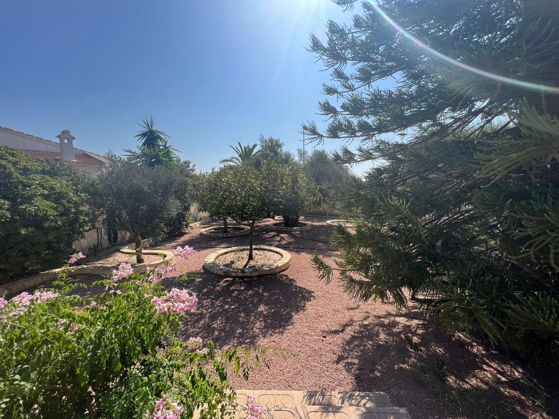 Villa in Rojales, Alicante, Spanien 236 m2 Nr. 168729