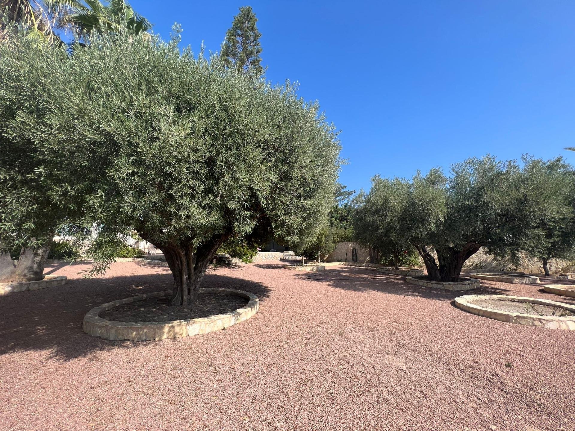 Villa in Rojales, Alicante, Spanien 236 m2 Nr. 168729