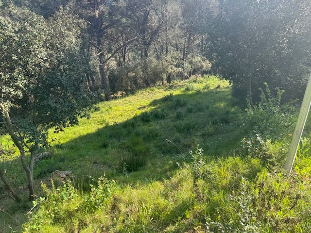 Land plot in Tordera, Barcelona, Spain No. 191403