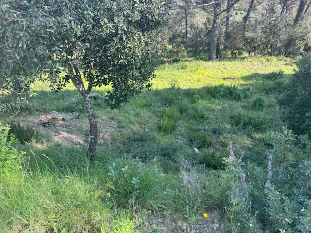 Land plot in Tordera, Barcelona, Spain No. 191403
