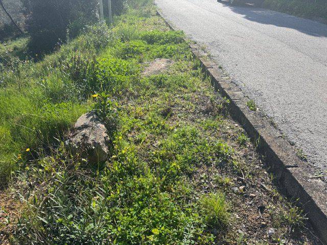 Land plot in Tordera, Barcelona, Spain No. 191403